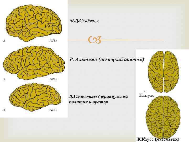 М. Д. Скобелев Р. Альтман (немецкий анатом) Л. Гамбетты ( французский политик и оратор