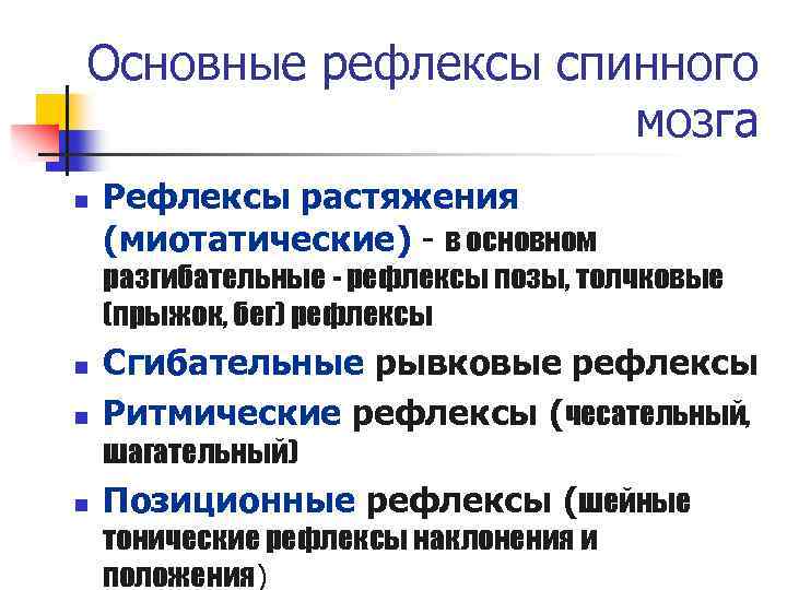 Основные рефлексы спинного мозга n Рефлексы растяжения (миотатические) - в основном разгибательные - рефлексы