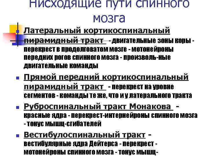 Нисходящие пути спинного мозга n Латеральный кортикоспинальный пирамидный тракт - двигательные зоны коры перекрест