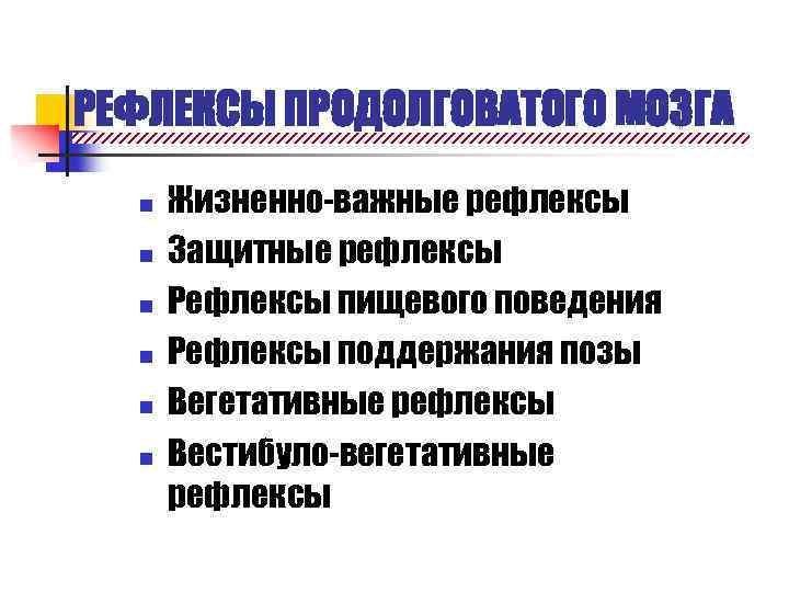 Рефлексы продолговатого мозга. Рефлексы продолговатого мозга физиология. Рефлексы пищевого поведения продолговатого мозга. Защитные рефлексы продолговатого мозга.