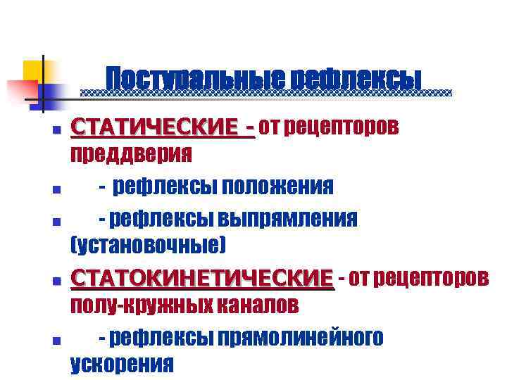 Постуральные рефлексы n n n СТАТИЧЕСКИЕ - от рецепторов преддверия - рефлексы положения -