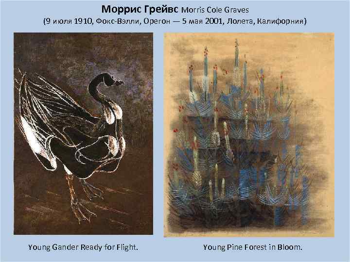 Моррис Грейвс Morris Cole Graves (9 июля 1910, Фокс-Вэлли, Орегон — 5 мая 2001,