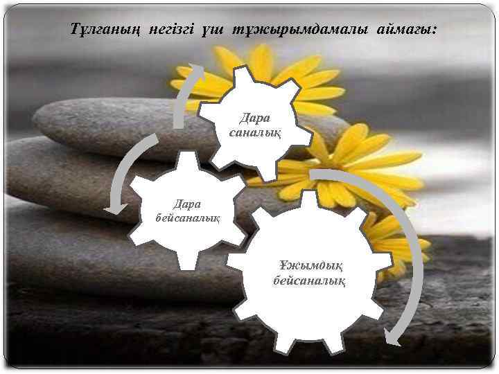 Тұлғаның негізгі үш тұжырымдамалы аймағы: Дара саналық Дара бейсаналық Ұжымдық бейсаналық 