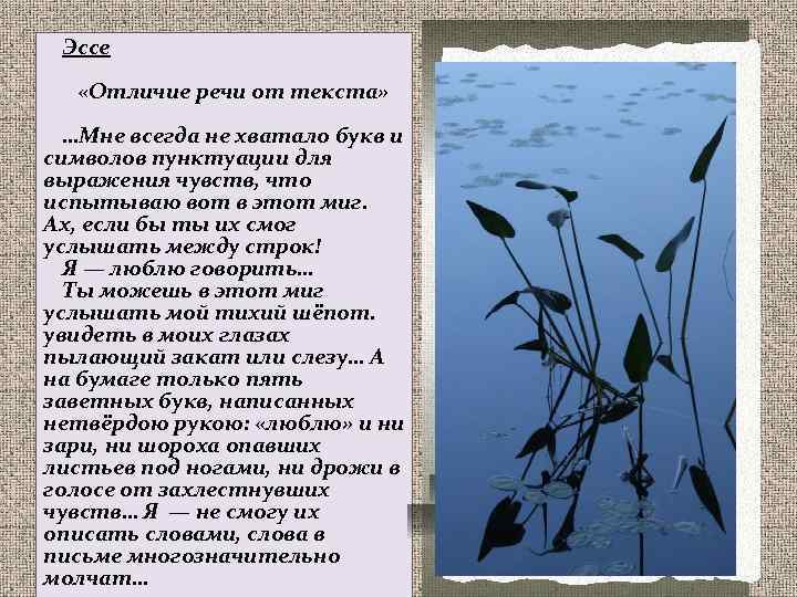 Эссе «Отличие речи от текста» …Мне всегда не хватало букв и символов пунктуации для