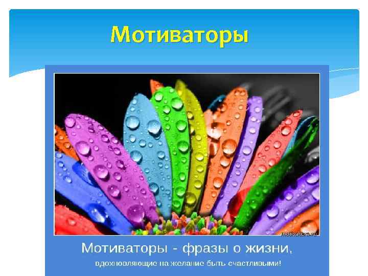 Мотиваторы 