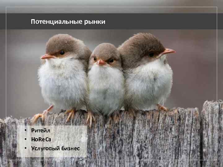 Потенциальные рынки • Ритейл • Ho. Re. Ca • Услуговый бизнес 