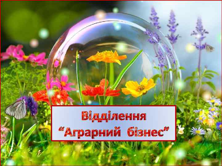 Відділення “Аграрний бізнес” 