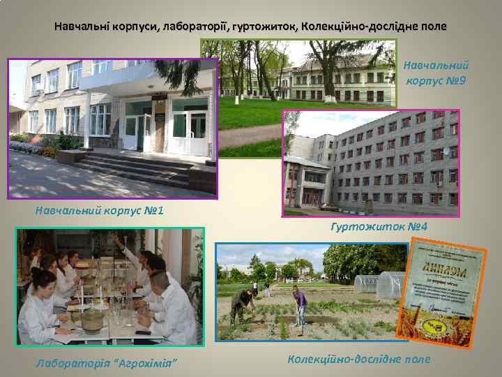 Навчальні корпуси, лабораторії, гуртожиток, Колекційно-дослідне поле Навчальний корпус № 9 Навчальний корпус № 1