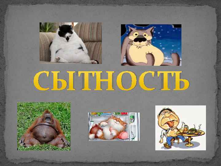 СЫТНОСТЬ 