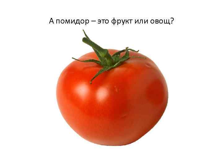 А помидор – это фрукт или овощ? 