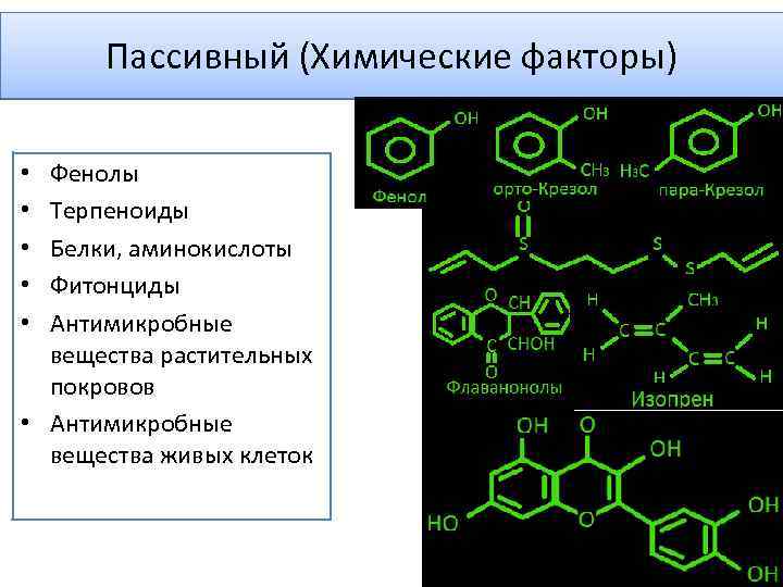 Пассивный (Химические факторы) Фенолы Терпеноиды Белки, аминокислоты Фитонциды Антимикробные вещества растительных покровов • Антимикробные