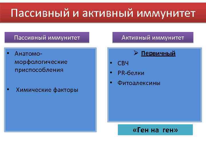 Пассивный и активный иммунитет Пассивный иммунитет • Анатомоморфологические приспособления • Химические факторы Активный иммунитет