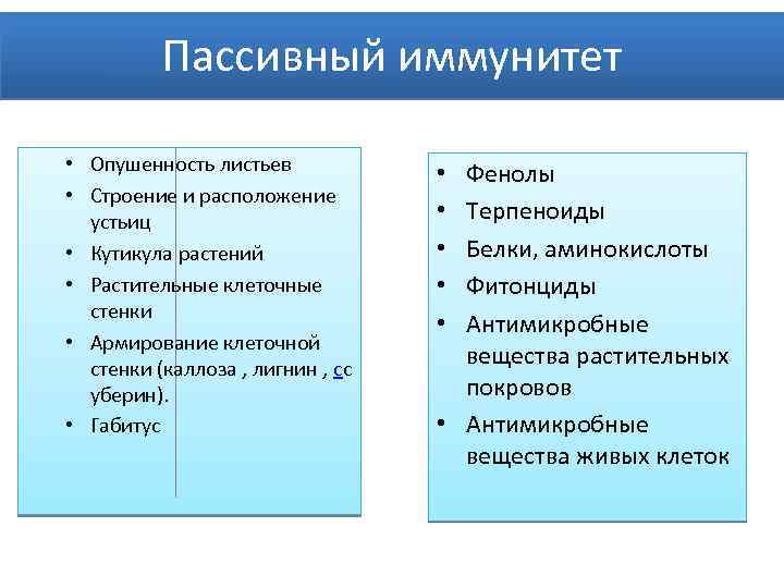 Пассивный иммунитет • Опушенность листьев • Строение и расположение устьиц • Кутикула растений •