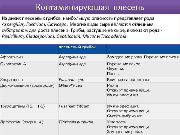 Контаминирующая плесень Из диких плесневых грибов наибольшую опасность представляет рода Aspergillus, Fusarium, Claviceps. Многие