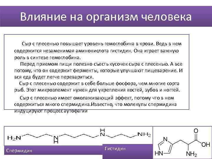 Влияние на организм человека Сыр с плесенью повышает уровень гемоглобина в крови. Ведь в