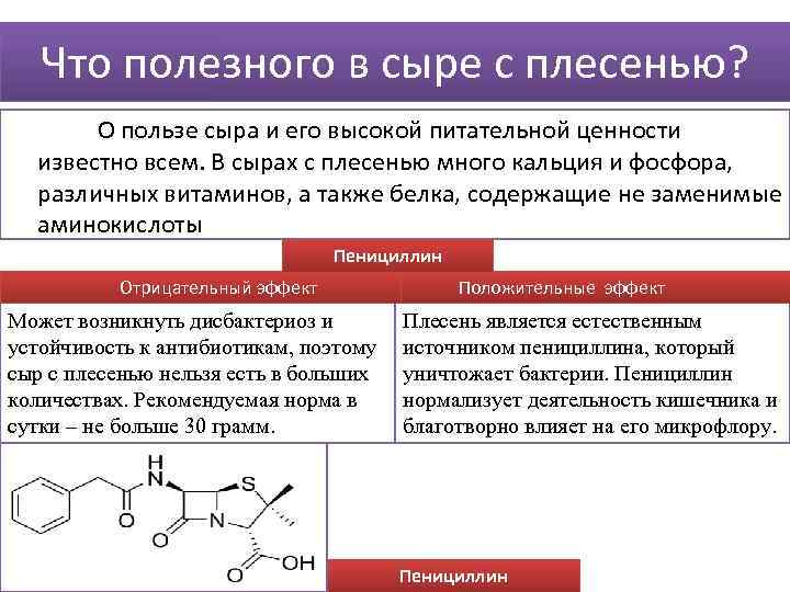 Что полезного в сыре с плесенью? О пользе сыра и его высокой питательной ценности