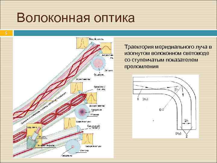 Волоконная оптика. 5 Траектория меридиального луча в изогнутом волоконном световоде со ступенчатым показателем преломления