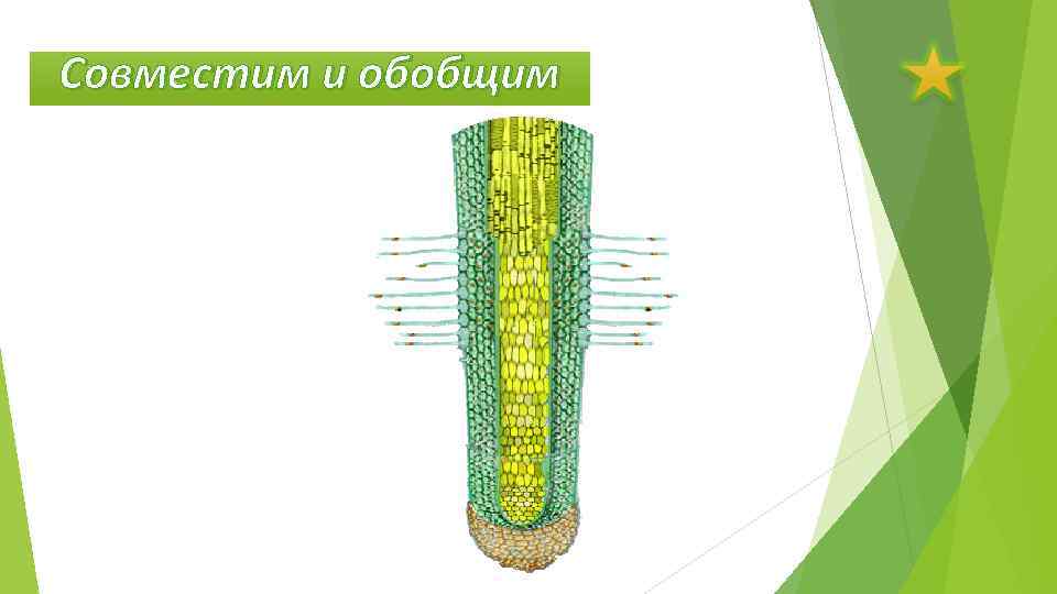 Совместим и обобщим 