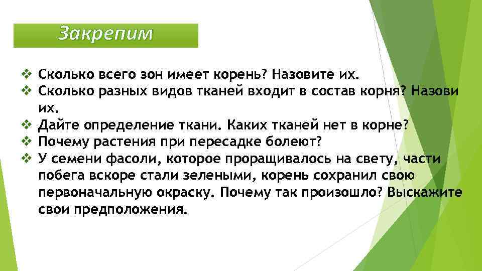 Закрепим v Сколько всего зон имеет корень? Назовите их. v Сколько разных видов тканей