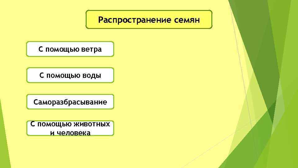 Распространение семян С помощью ветра С помощью воды Саморазбрасывание С помощью животных и человека