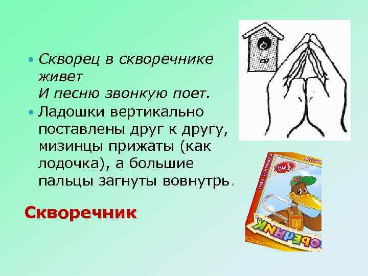 Скворец в скворечнике живет И песню звонкую поет. Ладошки вертикально поставлены друг к другу,