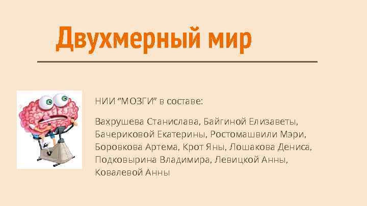 Двухмерный мир НИИ “МОЗГИ” в составе: Вахрушева Станислава, Байгиной Елизаветы, Бачериковой Екатерины, Ростомашвили Мэри,