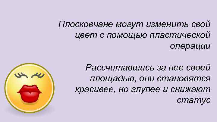 Плосковчане могут изменить свой цвет с помощью пластической операции Рассчитавшись за нее своей площадью,