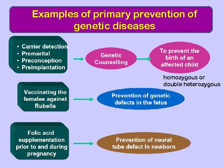 Examples of primary prevention of genetic diseases homozygous or double heterozygous 