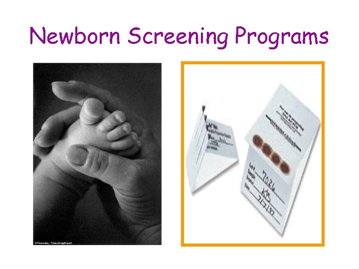 Newborn Screening Programs 