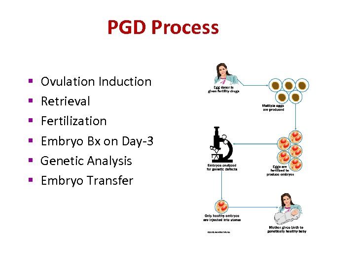 PGD Process § § § Ovulation Induction Retrieval Fertilization Embryo Bx on Day-3 Genetic