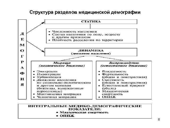 Структура разделов медицинской демографии 6 