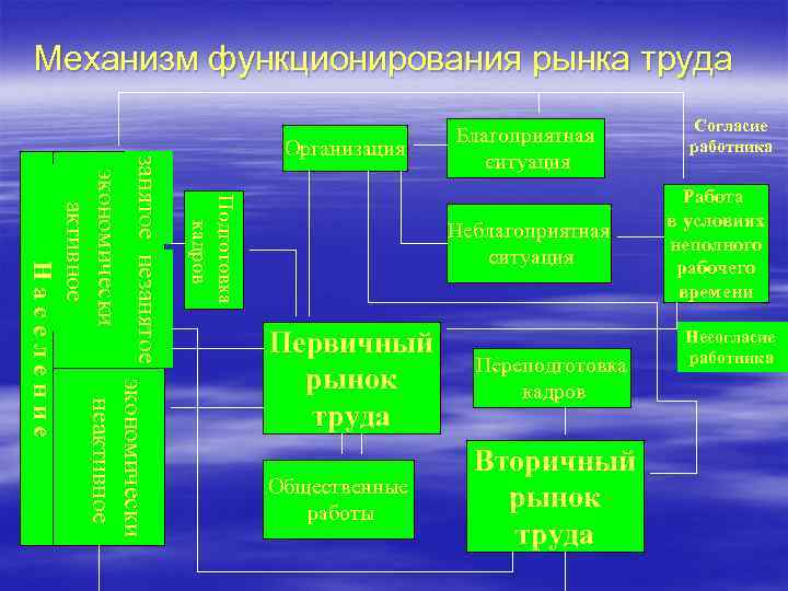 Механизм функционирования рынка труда Подготовка кадров занятое незанятое экономически неактивное Н а с е