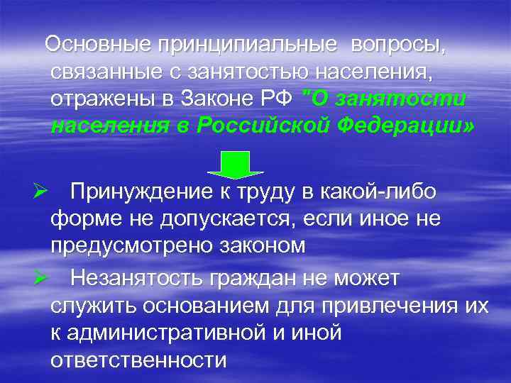 Основные принципиальные вопросы, связанные с занятостью населения, отражены в Законе РФ 