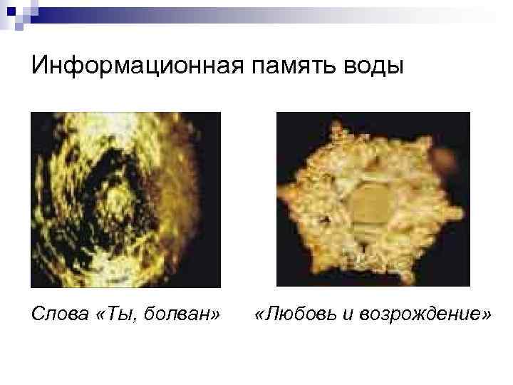 Информационная память воды Слова «Ты, болван» «Любовь и возрождение» 