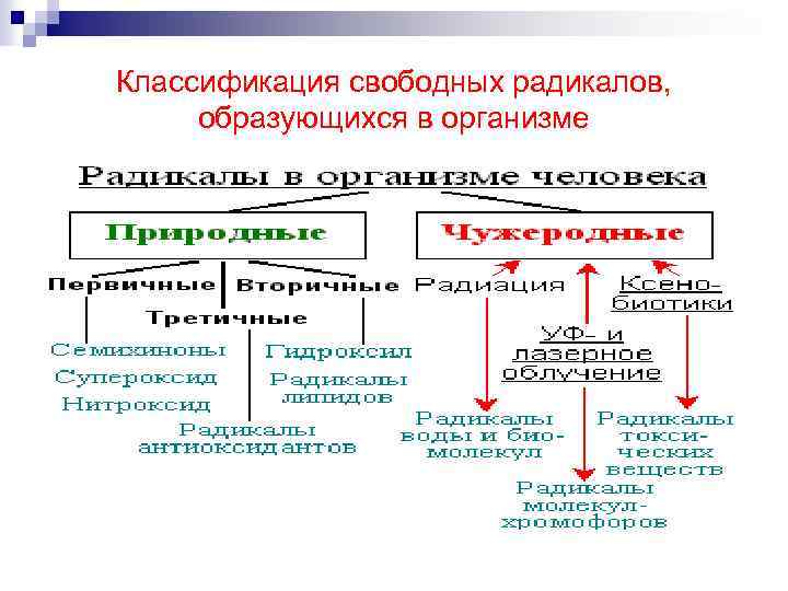 Классификация свободных радикалов, образующихся в организме. 