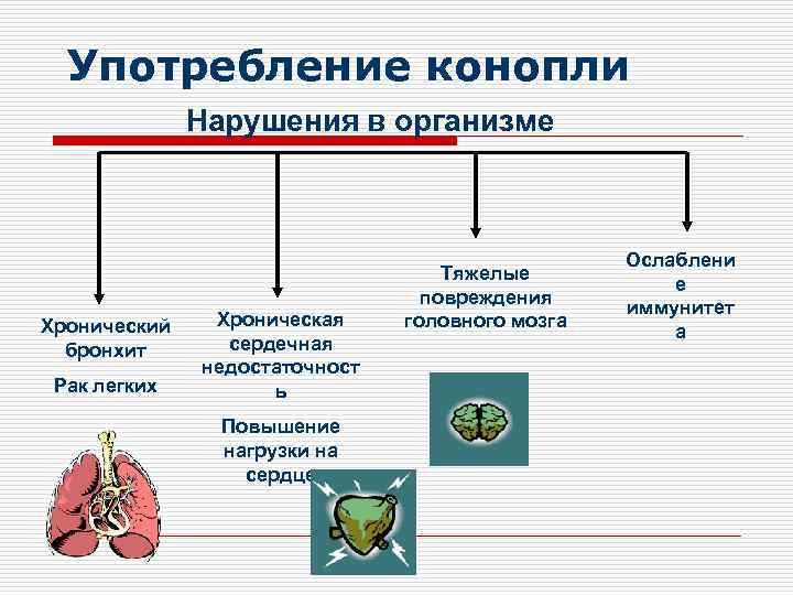 Употребление конопли Нарушения в организме Хронический бронхит Рак легких Хроническая сердечная недостаточност ь Повышение