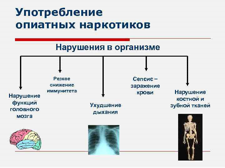 Употребление опиатных наркотиков Нарушения в организме Нарушение функций головного мозга Сепсис – заражение крови