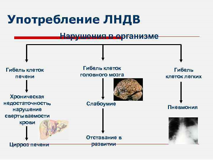 Употребление ЛНДВ Нарушения в организме Гибель клеток печени Хроническая недостаточность, нарушение свертываемости крови Цирроз