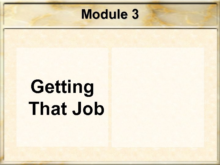 Module 3 Getting That Job 