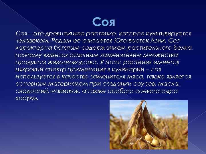 Соя – это древнейшее растение, которое культивируется человеком. Родом ее считается Юго-восток Азии. Соя