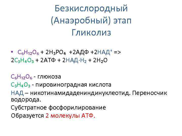 Безкислородный (Анаэробный) этап Гликолиз • С₆Н₁₂О₆ + 2 Н₃РО₄ +2 АДФ +2 НАД⁺ =>