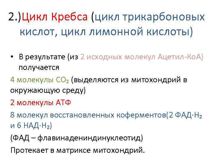 2. )Цикл Кребса (цикл трикарбоновых кислот, цикл лимонной кислоты) • В результате (из 2