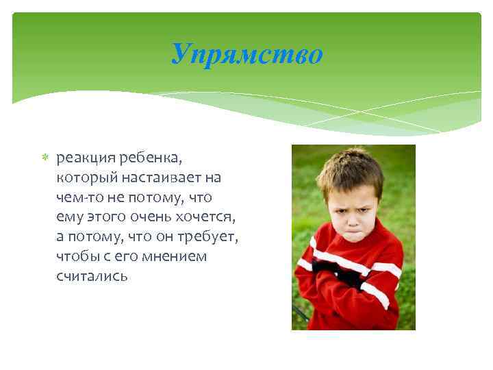 Упрямство реакция ребенка, который настаивает на чем то не потому, что ему этого очень