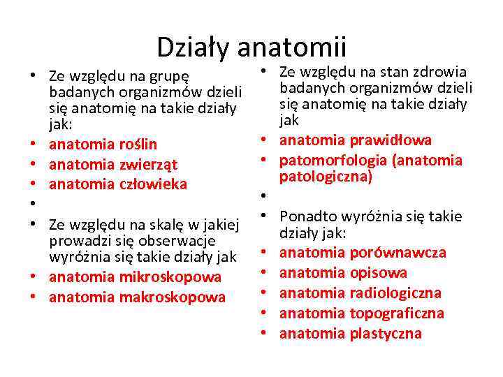 Działy anatomii • Ze względu na grupę badanych organizmów dzieli się anatomię na takie