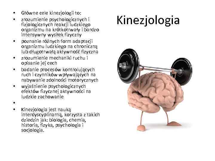  • • Główne cele kinezjologii to: zrozumienie psychologicznych i fizjologicznych reakcji ludzkiego organizmu