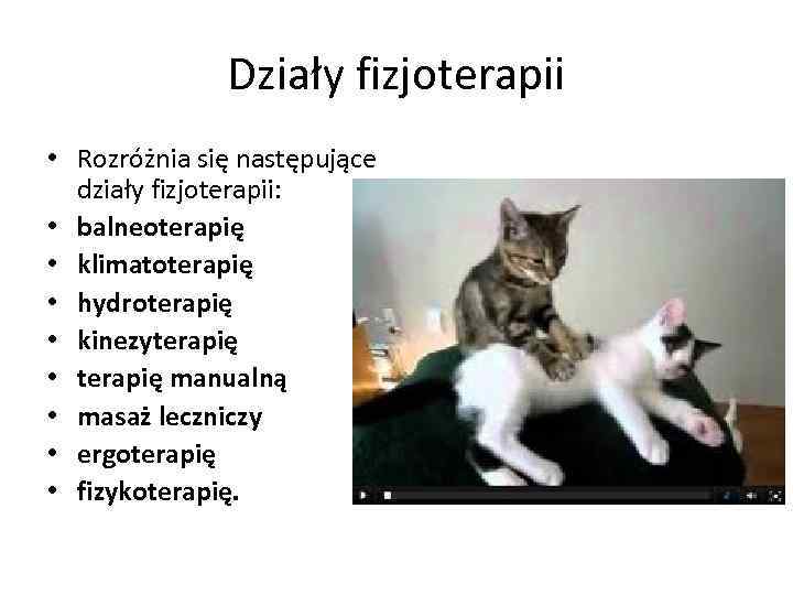 Działy fizjoterapii • Rozróżnia się następujące działy fizjoterapii: • balneoterapię • klimatoterapię • hydroterapię