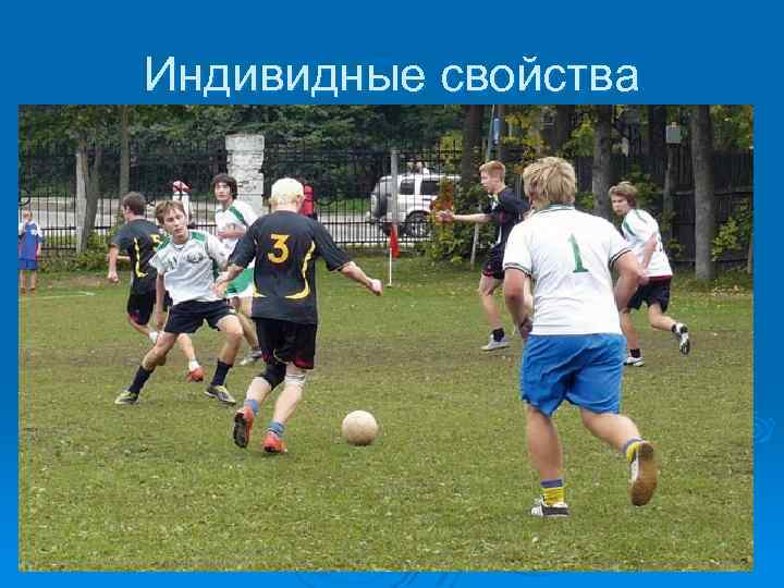 Индивидные свойства 