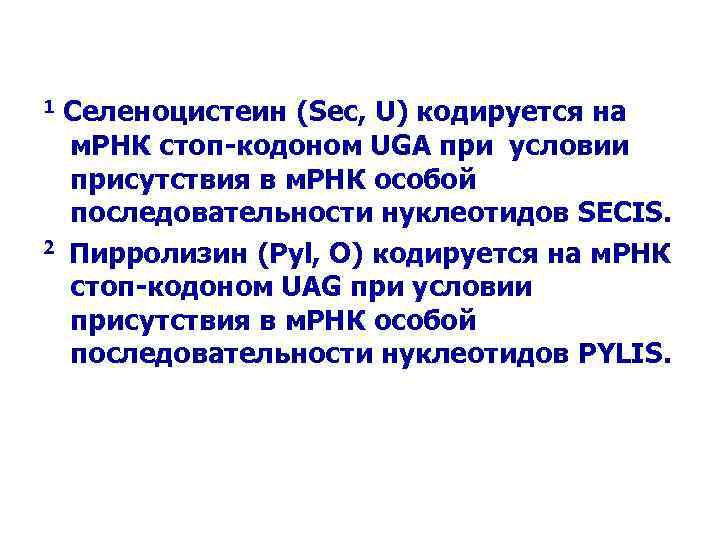 1 Селеноцистеин (Sec, U) кодируется на м. РНК стоп-кодоном UGA при условии присутствия в