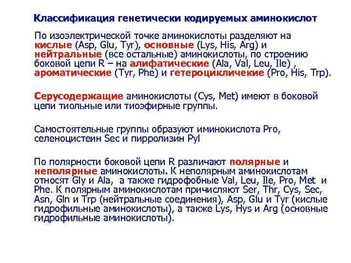 Классификация генетически кодируемых аминокислот По изоэлектрической точке аминокислоты разделяют на кислые (Asp, Glu, Tyr),