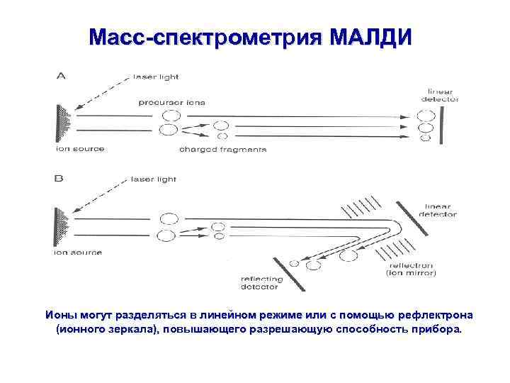 Масс-спектрометрия МАЛДИ Ионы могут разделяться в линейном режиме или с помощью рефлектрона (ионного зеркала),